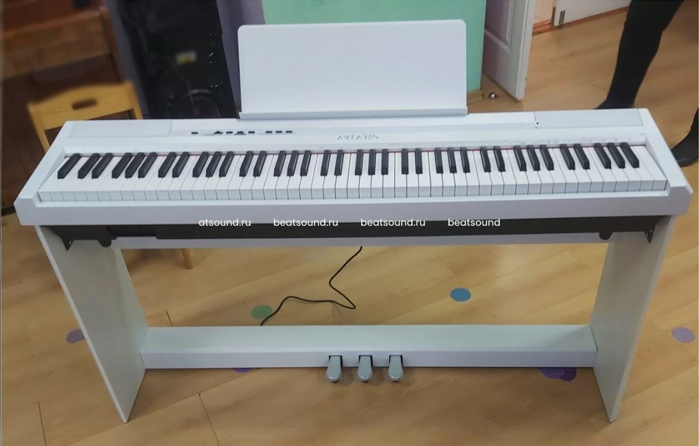 Antares d-300 w. Orla cdp 101. Пианино антарес д300. Antares d-300 цифровое фортепиано. Цифровое фортепиано antares.